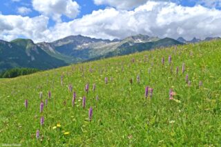 Baisse de Peyrefique c