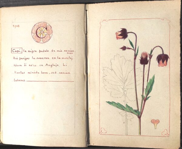 Gallery Clarence Bicknell