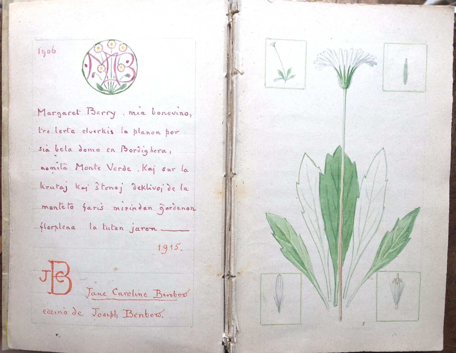 Gallery an assortment Clarence Bicknell