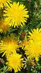 Inst59_Massardo_20220606_133240