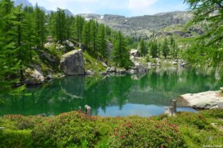 Lac Vert de Fontanalba c