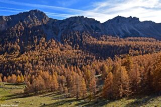 Vallon de Fontanalba 2c