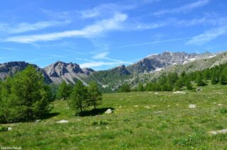 Vallon de Fontanalba c